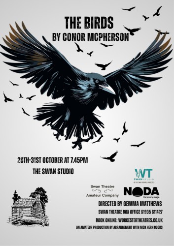 The Birds